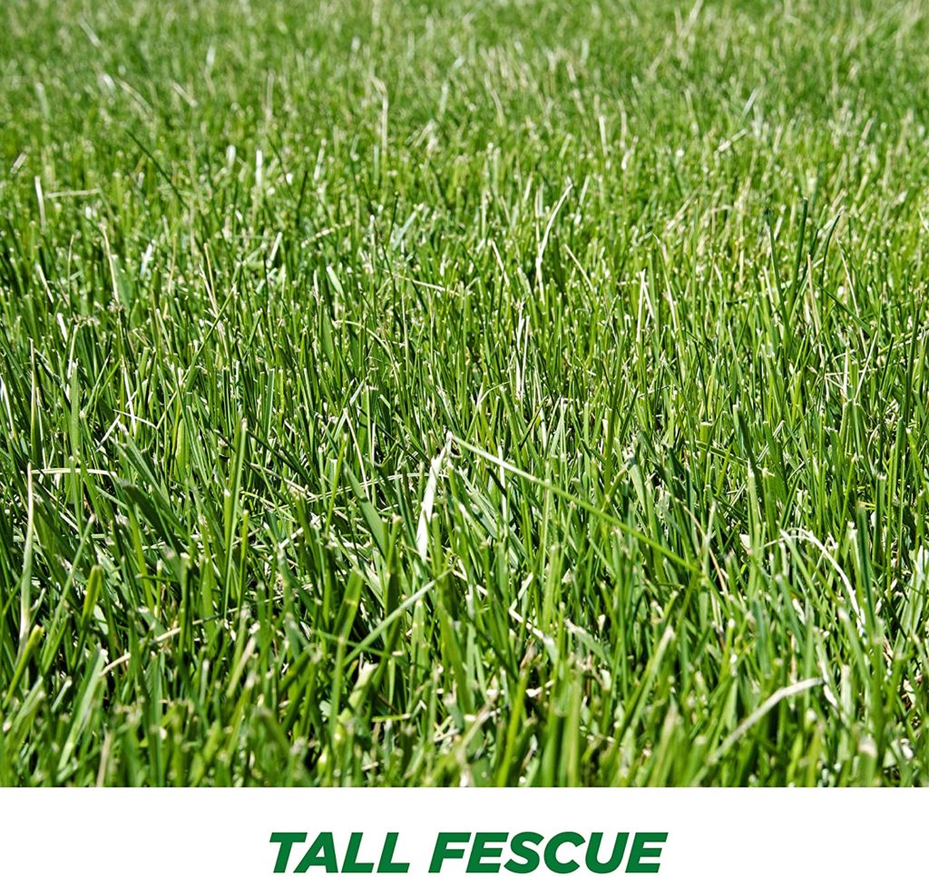 how many pounds of grass seed per acre for lawn