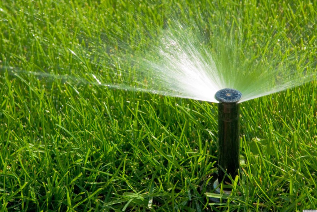 Tips on how to properly water your lawn Kentucky Lawn Care